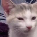 AshaYawn emote for Discord