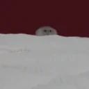 attac animated emote for Discord, Twitch and Slack