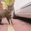 attackig emote for Discord