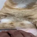 atm emote for Discord