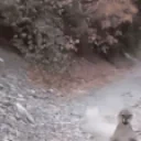 AtaqueLoli emote for Discord