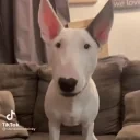 attack emote for Discord