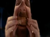 ATE emote for Discord