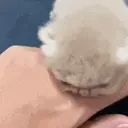 attack emote for Discord