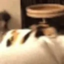 attackCat emote for Discord