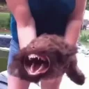 ATTACK emote for Discord