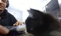 Attack emote for Discord