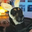 atlasCronch emote for Discord