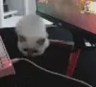 ATTACK emote for Discord