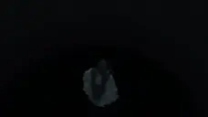 AtTimesFailureisTheMoth emote for Discord