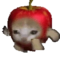 Applecatrun emote for Discord