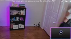 aot emote for Discord