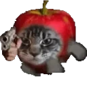 ApplecatGun emote for Discord
