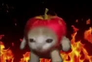 ApplecatArson emote for Discord