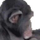 apeJAM emote for Discord