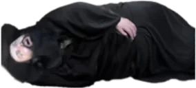 aoeturtle emote for Discord