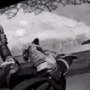 APEXING emote for Discord