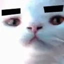 ApolloFlirt emote for Discord