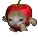 AppleCatSPEED emote for Discord