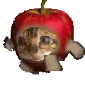 Applecatrun emote for Discord