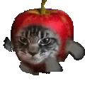 ApplecatSPEED emote for Discord