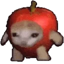 AppleCat emote for Discord