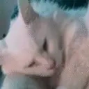 ApolloWake emote for Discord