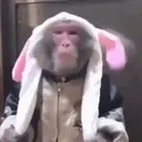 APEnikoglai emote for Discord