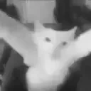 apopiDespair emote for Discord