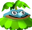 APIANTA emote for Discord