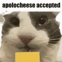 apolocheeseAccepted emote for Discord