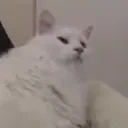 apolloSleep emote for Discord