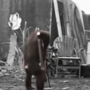 ApeAK47 emote for Discord