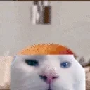 Apollobotomy emote for Discord