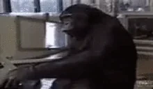 ApeGaming emote for Discord