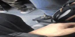 aplausoSenores emote for Discord