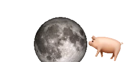 APigJumpingOverTheMoonF emote for Discord