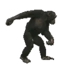 ApePls emote for Discord