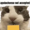 apolocheeseNotAccepted emote for Discord