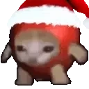 Applecatspin emote for Discord