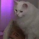 apolloLeave emote for Discord