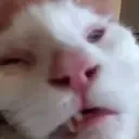 ApolloPW emote for Discord