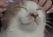 apolloponHappy emote for Discord