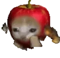 Appledoomrun emote for Discord