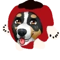 APPLECYAN emote for Discord