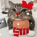 apple emote for Discord