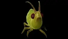 aphid emote for Discord