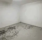 appear emote for Discord