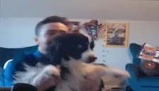 apolloJAM emote for Discord