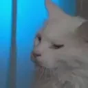 ApolloSigh emote for Discord